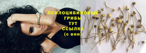 apvp Абинск