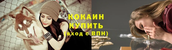 ПСИЛОЦИБИНОВЫЕ ГРИБЫ Абдулино