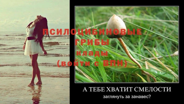 ПСИЛОЦИБИНОВЫЕ ГРИБЫ Абдулино